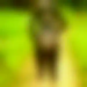 Foto von Regine