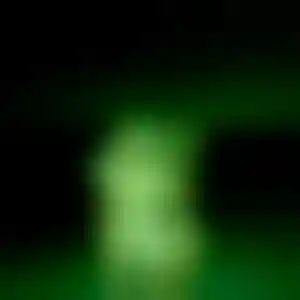Foto von Lea