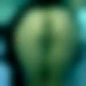 Foto von Lina