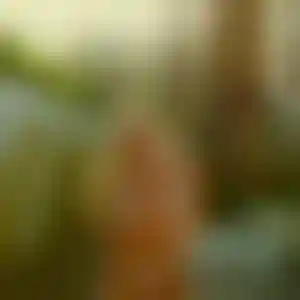 Foto von Celine