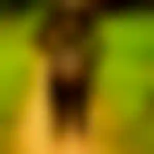 Foto von Emma