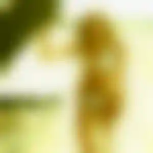 Foto von Carola