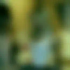 Foto von Carina
