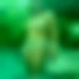 Foto von Elke