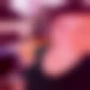Foto von Sophia