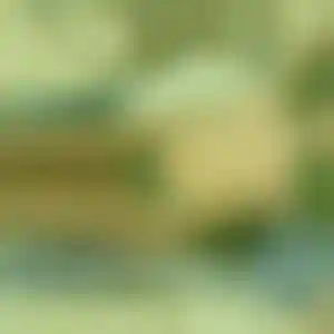 Foto von Anke