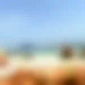 Foto von Katrin