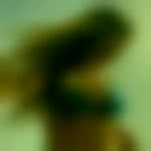 Foto von Nora