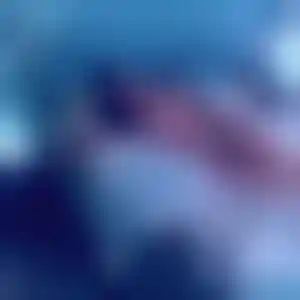 Foto von Chiara