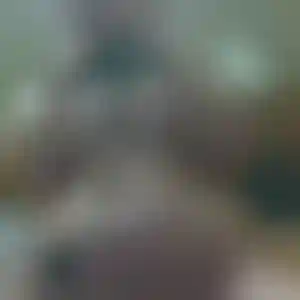 Foto von Leonie
