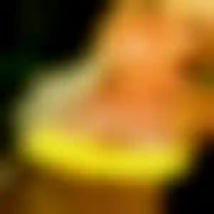 Foto von Elke