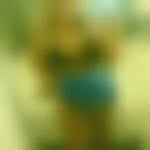 Foto von Stella