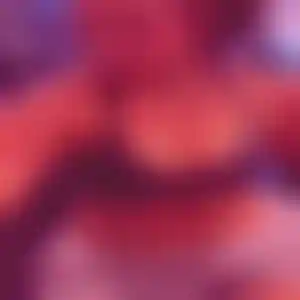 Foto von Annika